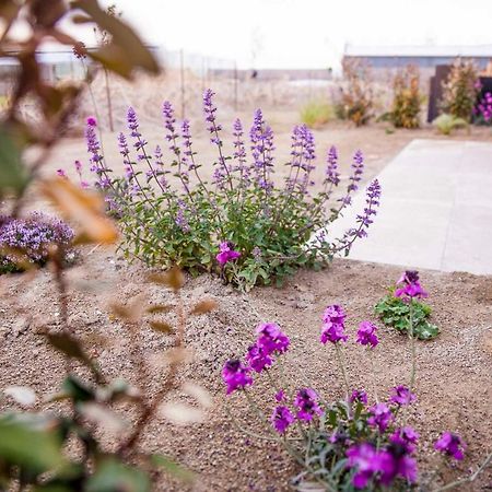 Zeezand Recreatie Cozy Chalets Stolpen Dış mekan fotoğraf